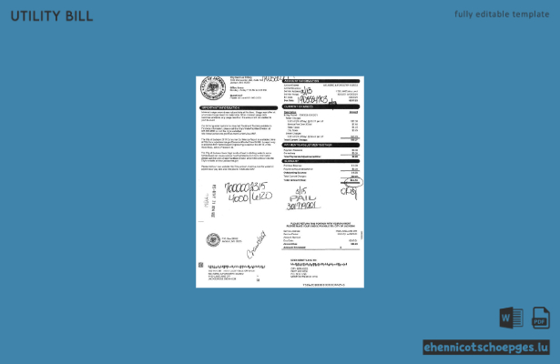 Vorschau einer Beispielrechnung für Versorgungsleistungen der Stadt Jackson, USA